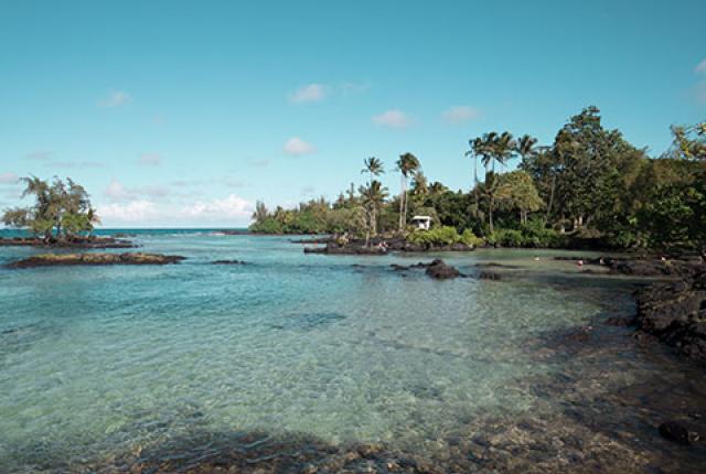 ハワイ大学ヒロ校（Hawaii Community College） 語学力強化